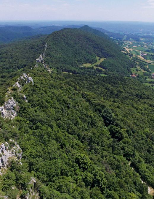 Kalnik