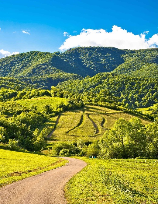 Plešivica, Žumberak