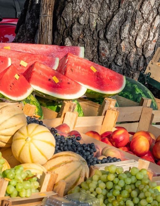 Taste Croatian Summer: Must-Try Seasonal Fruit | EUAGENT