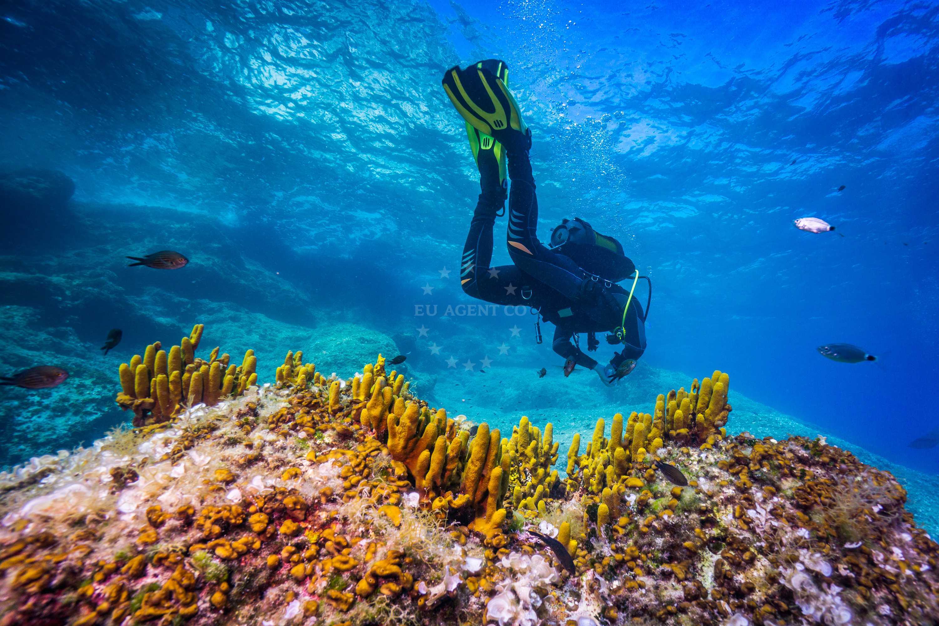 Diving