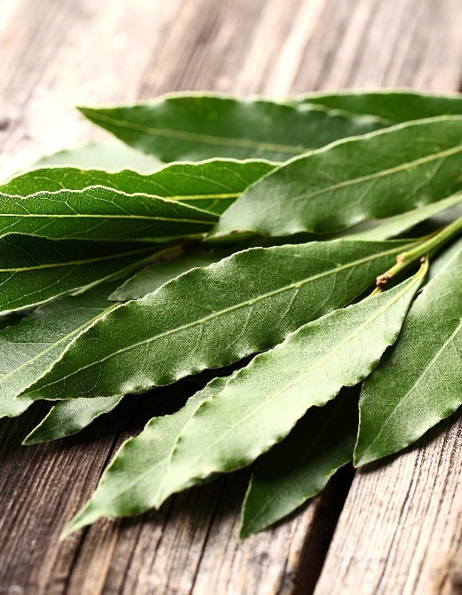Bay Leaf