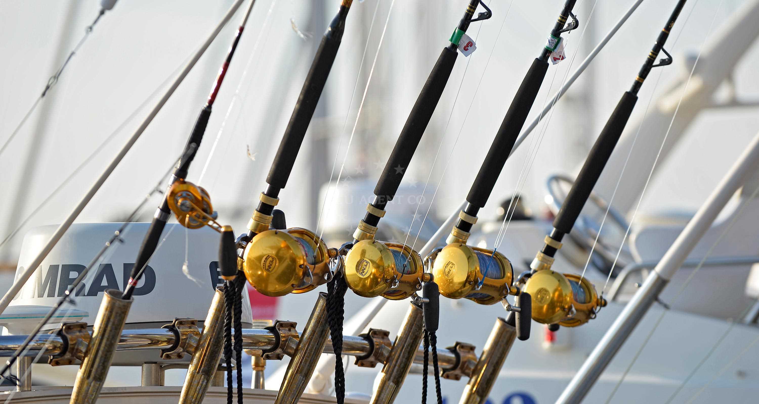 Big game fishing Croatia