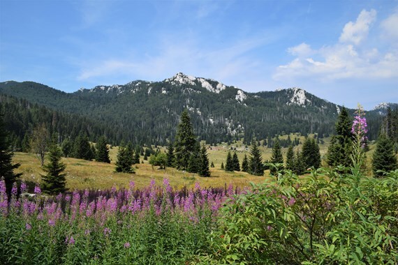 Lubenovac, Northern Velebit