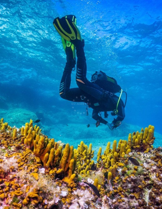Diving