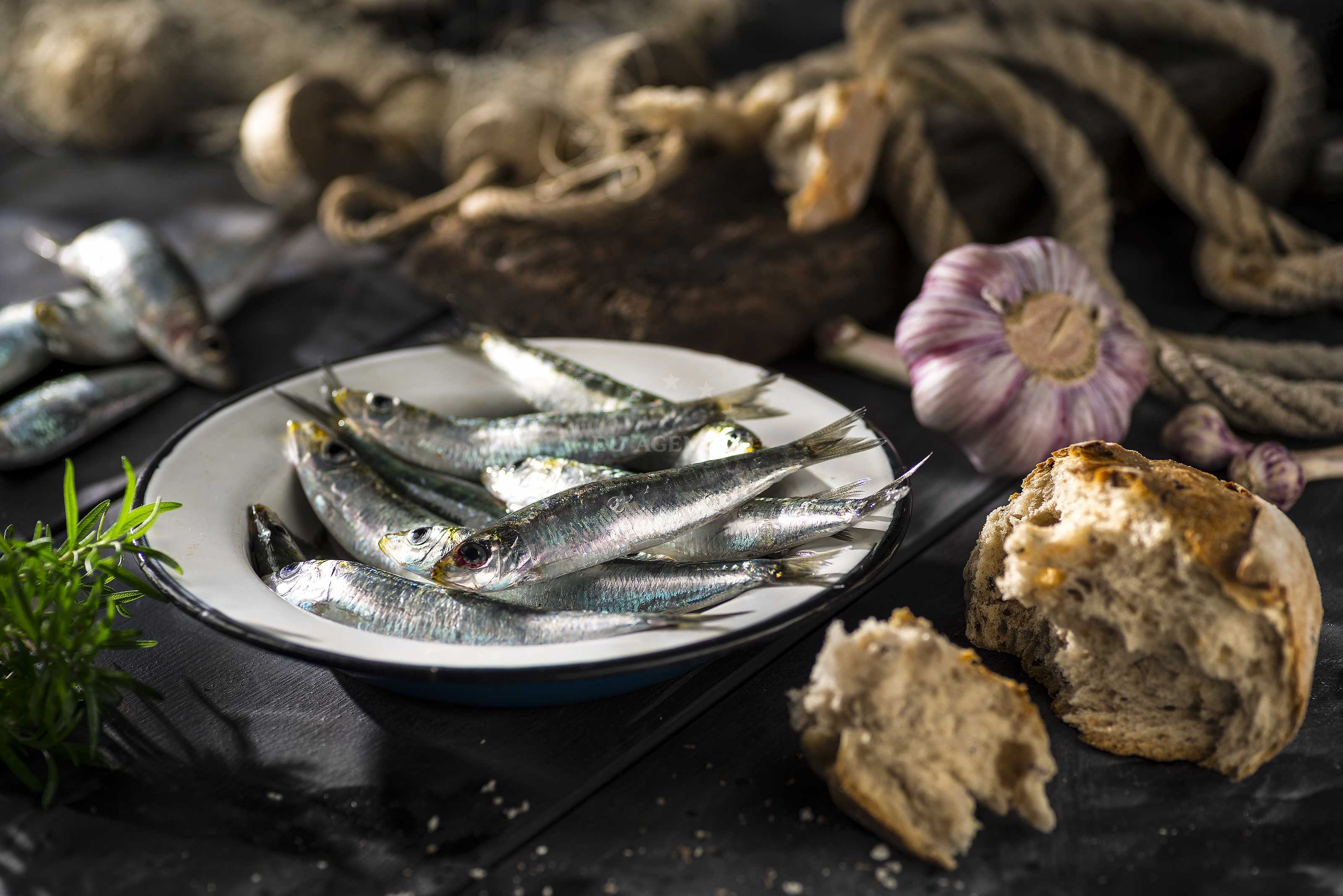 sardines
