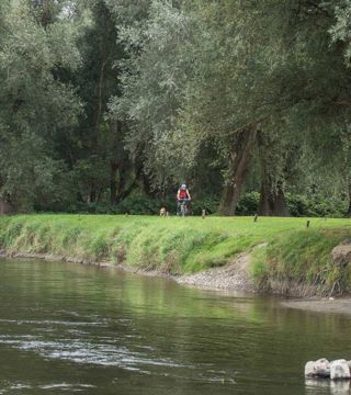Međimurje