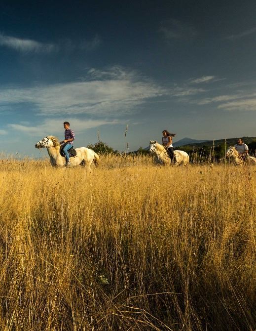 Experience Croatia on Four Legs - in the Saddle | EUAGENT