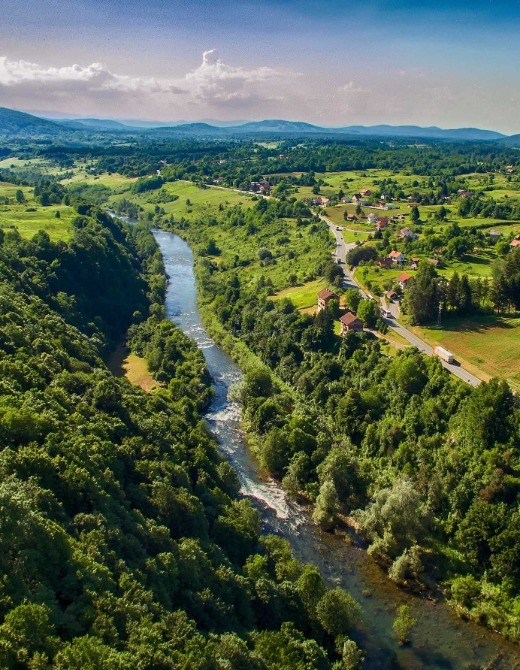 Korana
