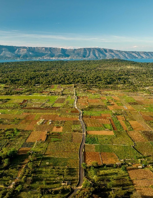 Stari Grad Plain
