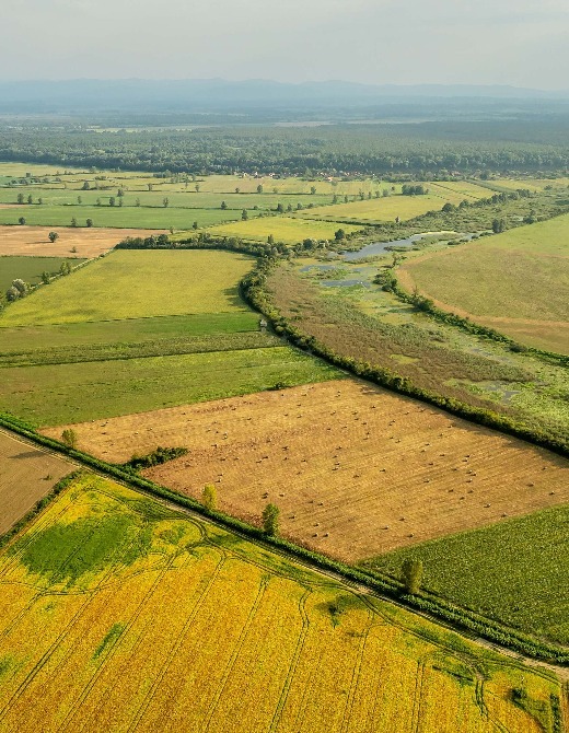 Lonjsko Polje Nature Park - bird paradise - Central Croatia | EUAGENT