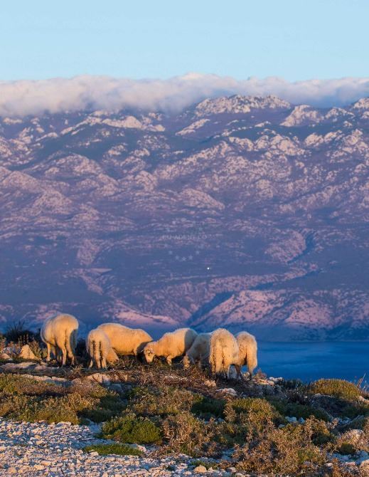 Discover Peaks and Trails of Croatian Islands | EUAGENT