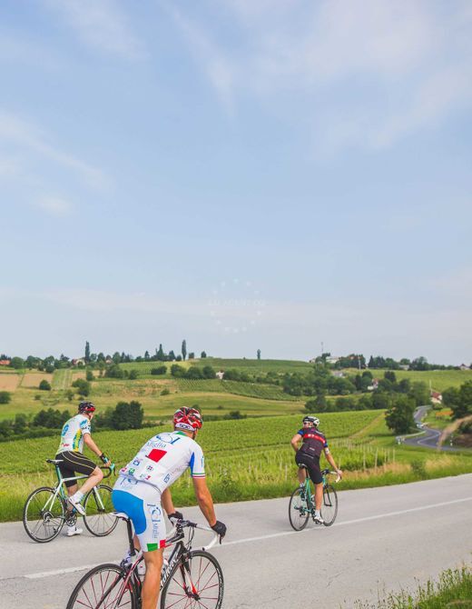 Međimurske bicycle routes