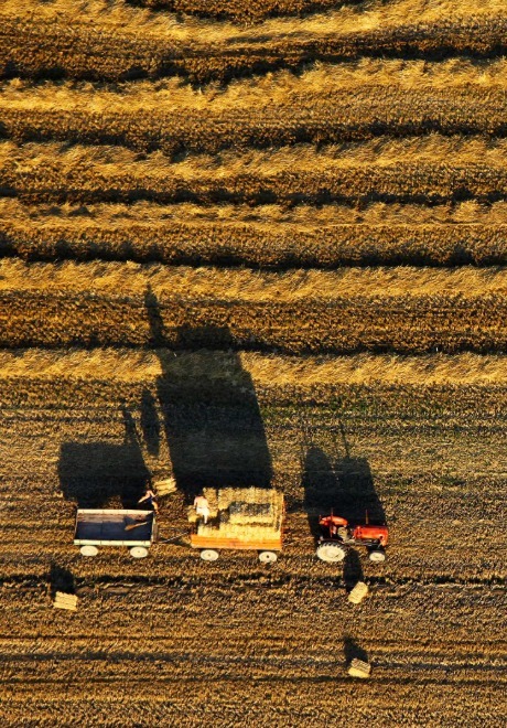 Slavonia