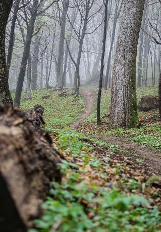 Unspoiled nature and natural beauty of Croatia I EUAGENT | EUAGENT