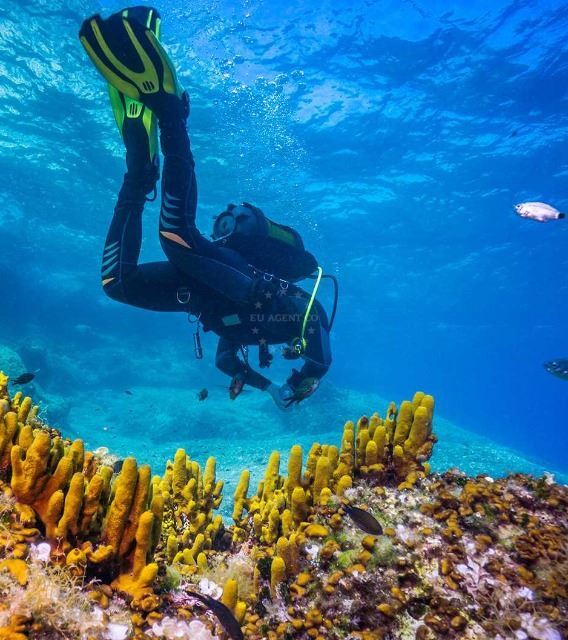 Locations for diving in the Croatian sea | EUAGENT