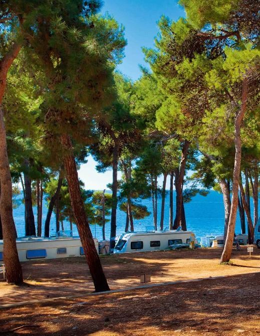 Camp Čikat, Losinj