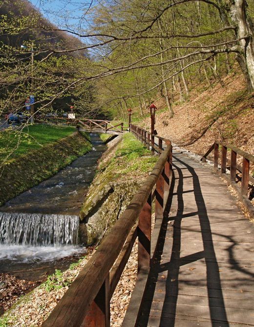 Medvednica