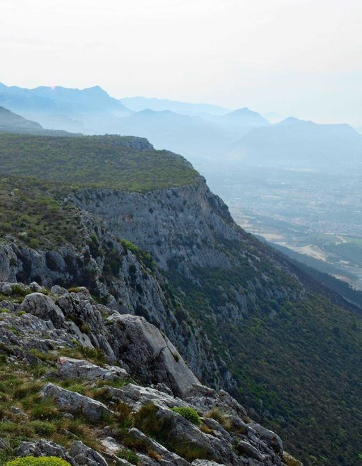 Kozjak