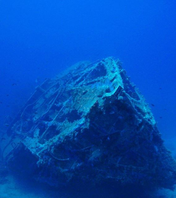 Diving and the underwater world of the Adriatic - Croatian depths | EUAGENT
