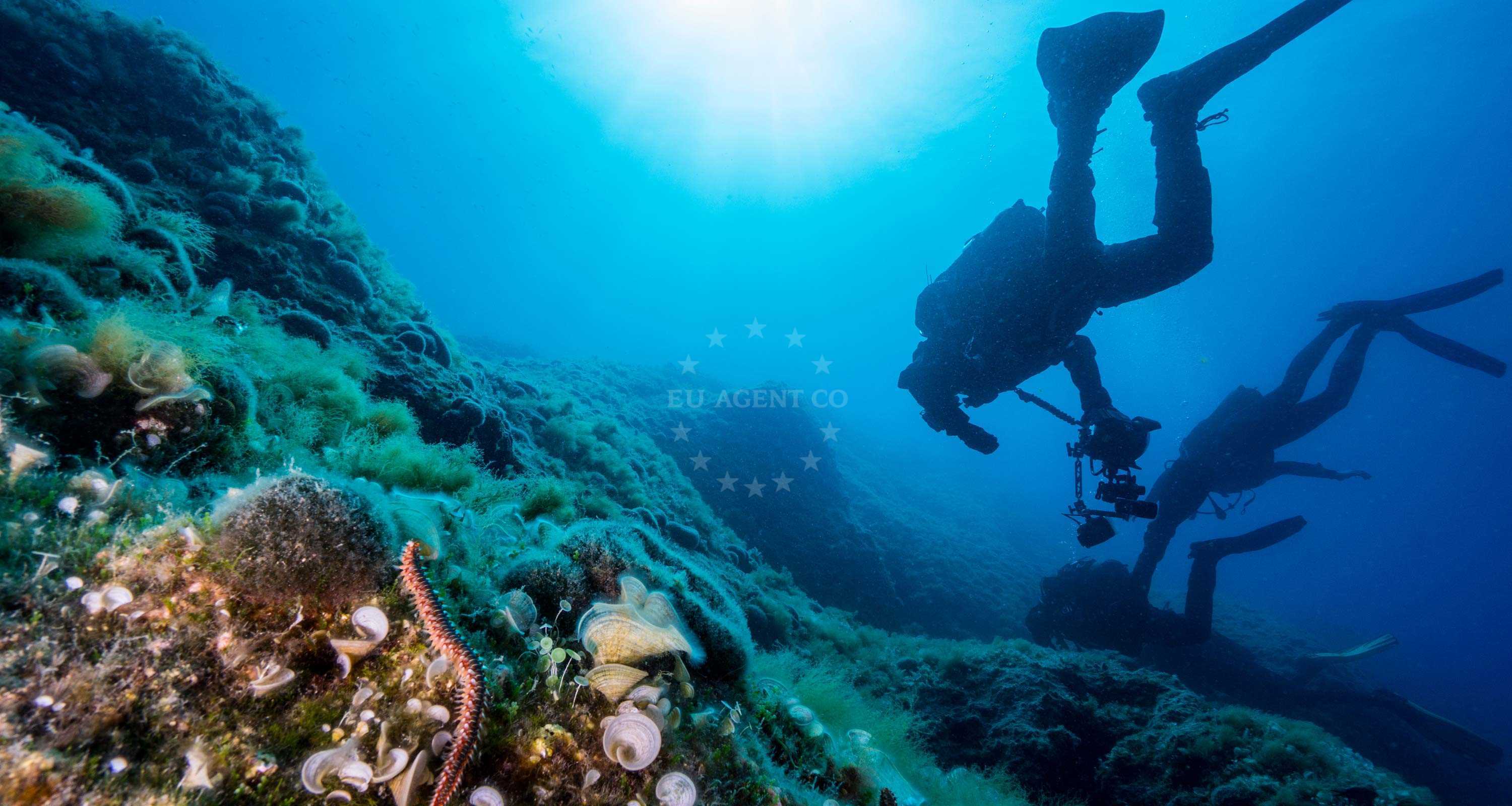 Diving in Croatia