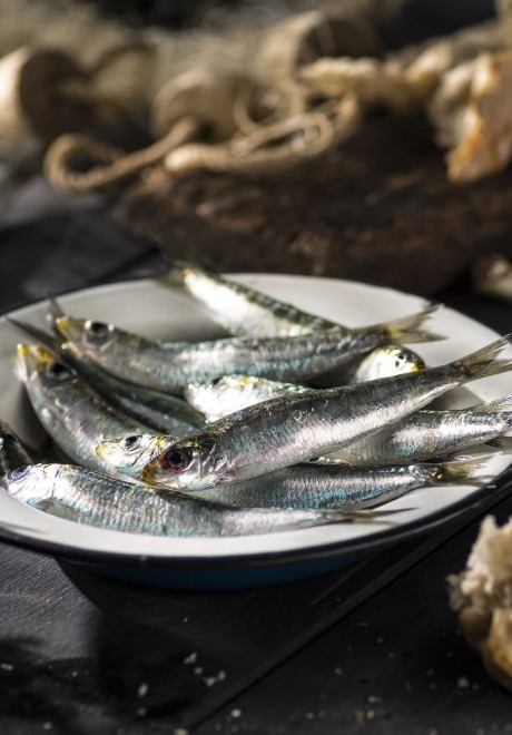 sardines