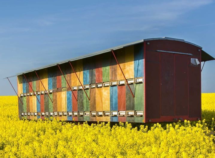 Slavonia, Hives for honey