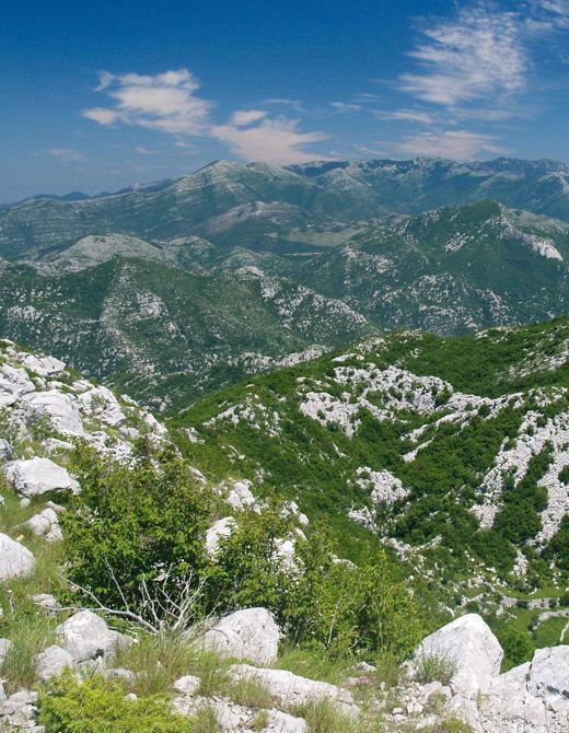 Sniježnica - mountain in Konavle | EUAGENT