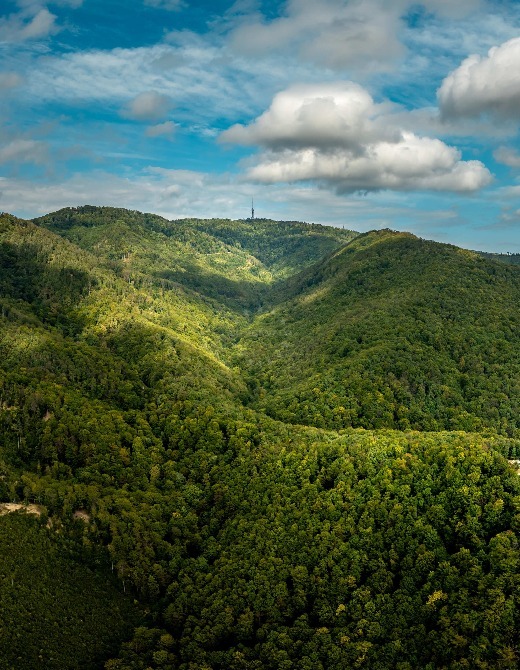 Medvednica