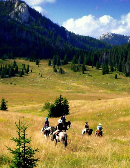 EUAGENT | Linden Tree Retreat & Ranch | EUAGENT