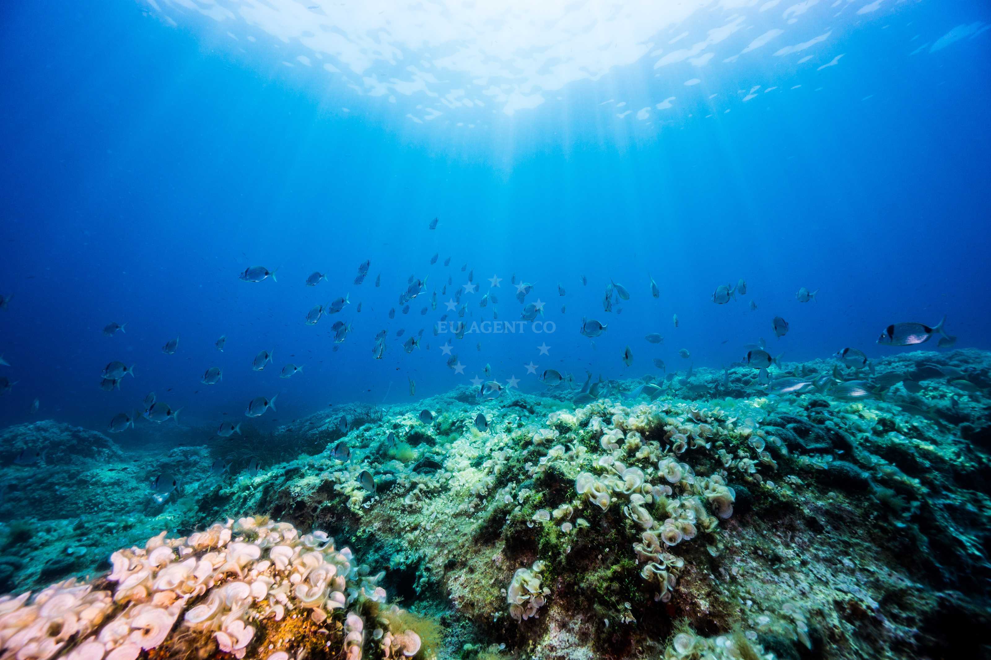 Shoal, Adriatic Sea