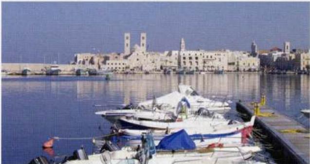 Molfetta Adriatic Pilot image