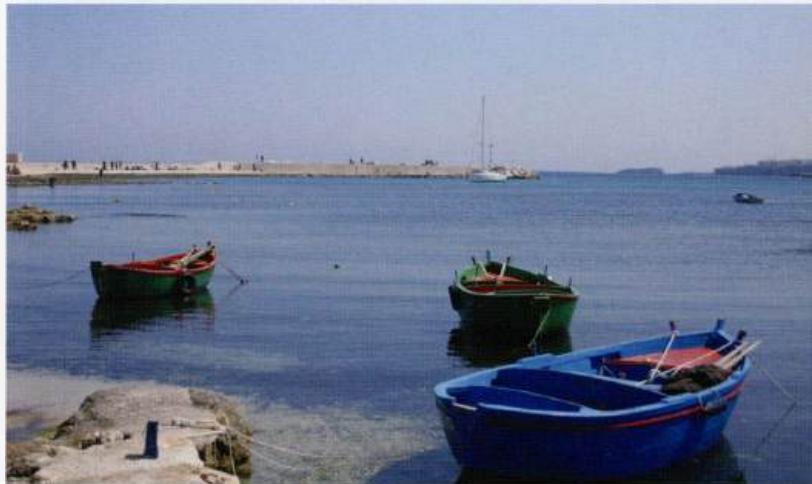 Polignano Adriatic Pilot image
