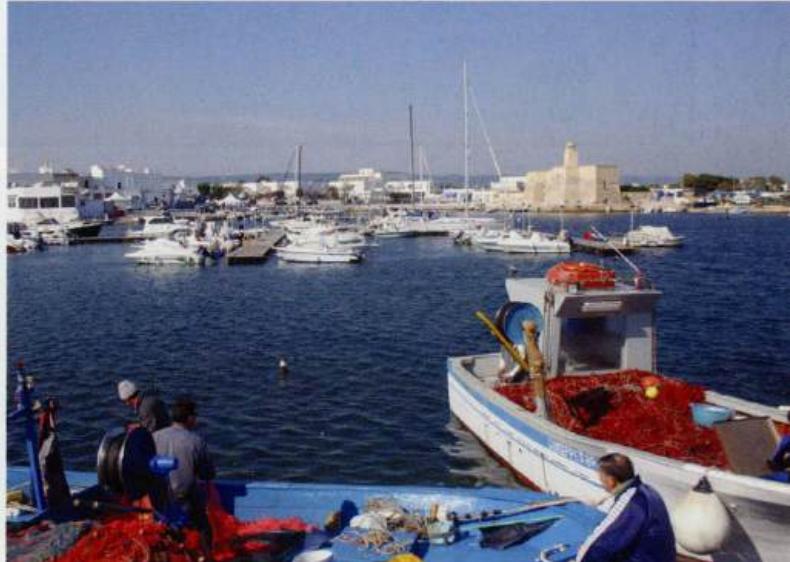 Villanova Adriatic Pilot image