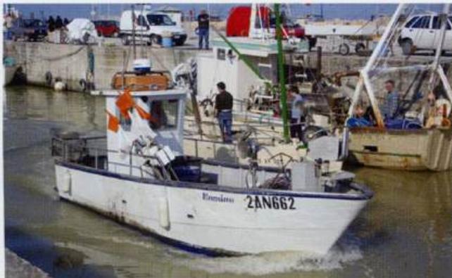 Falconara Marittima Adriatic Pilot image